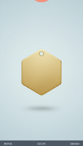 Gentle Gold Hexagonal Pet ID Tag